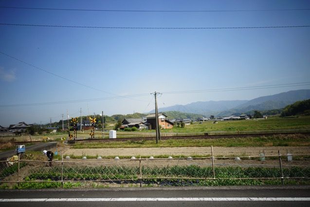 DSC02261.JPG DSC02261