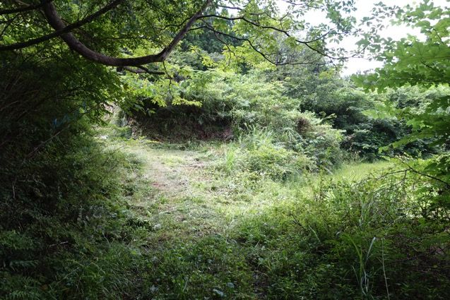 DSC06937.JPG DSC06937