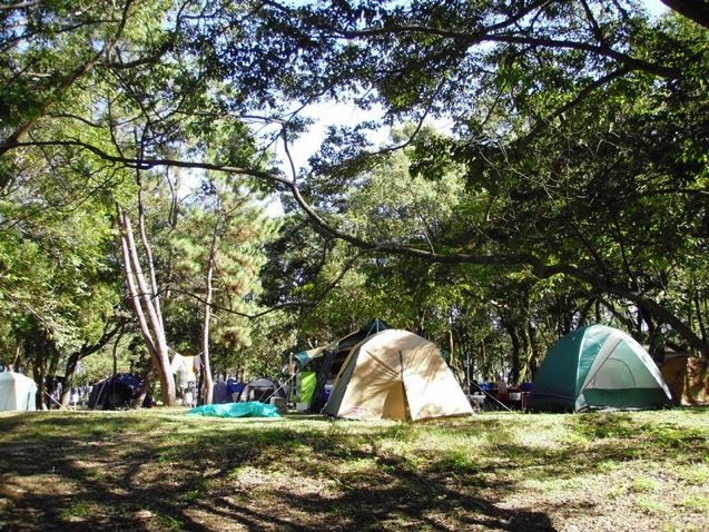 camp_f2015.jpg Camp f2015