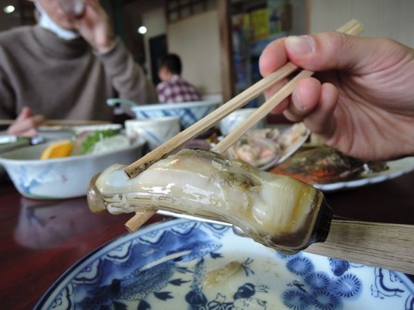 DSCN3076.JPG DSCN3076