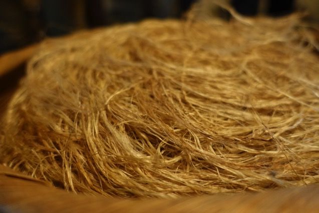 DSC05980.JPG DSC05980