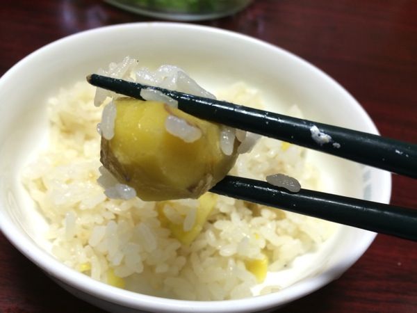 IMG_1677.JPG IMG 1677
