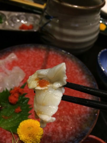 IMG_4880.JPG IMG 4880
