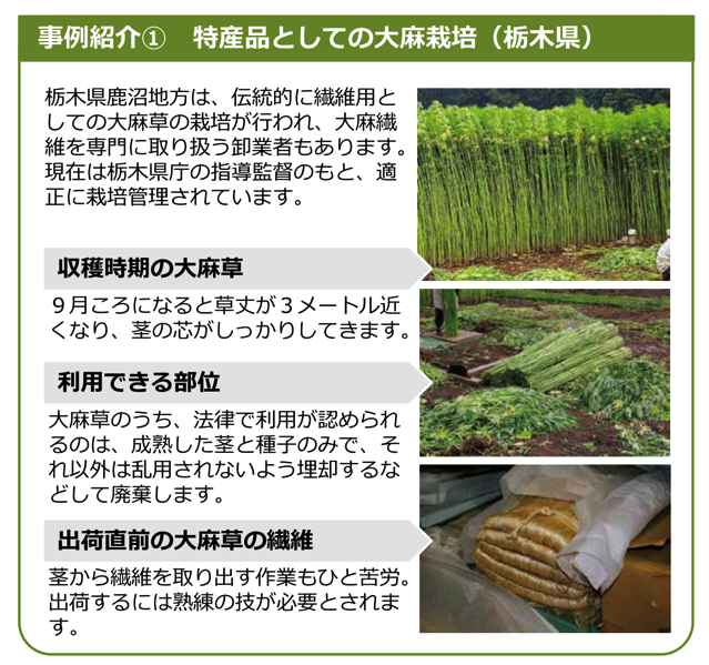スクリーンショット 2018 06 23 7 33 30