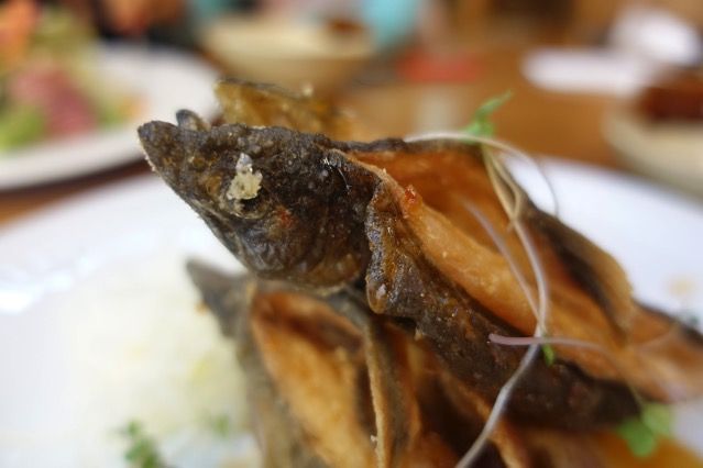 DSC03495.JPG DSC03495