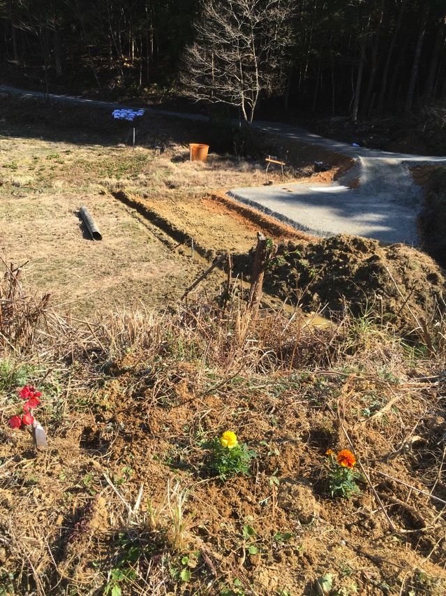IMG_0367.JPG IMG 0367