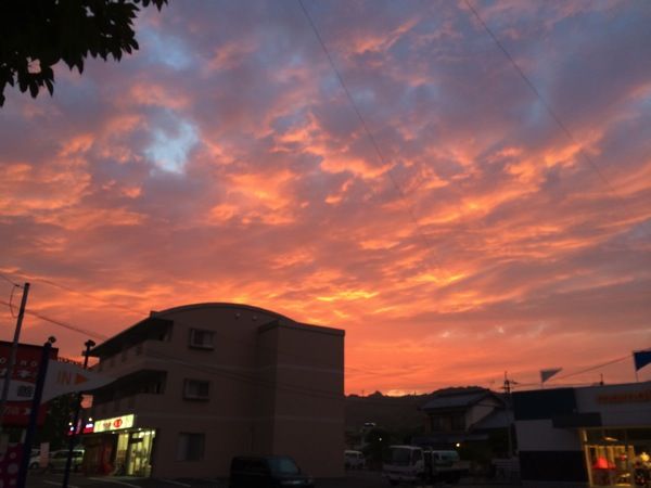 IMG_8300.JPG IMG 8300