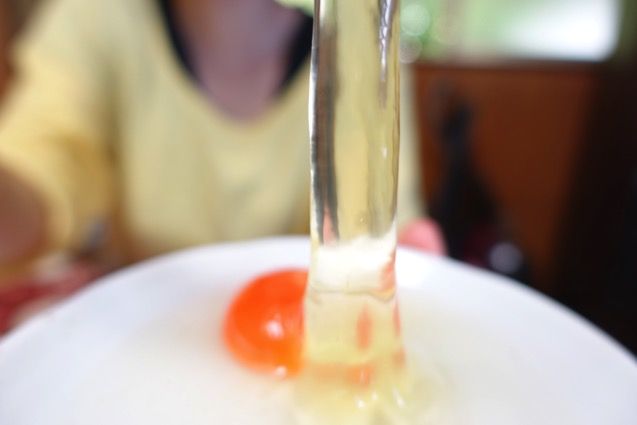 DSC02782.JPG DSC02782