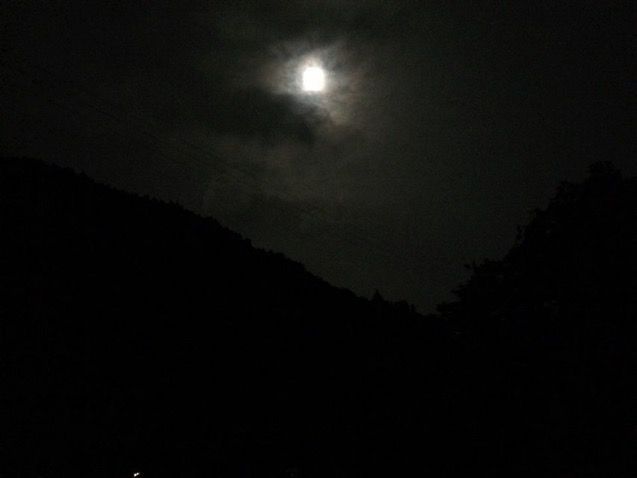 写真.JPG 写真