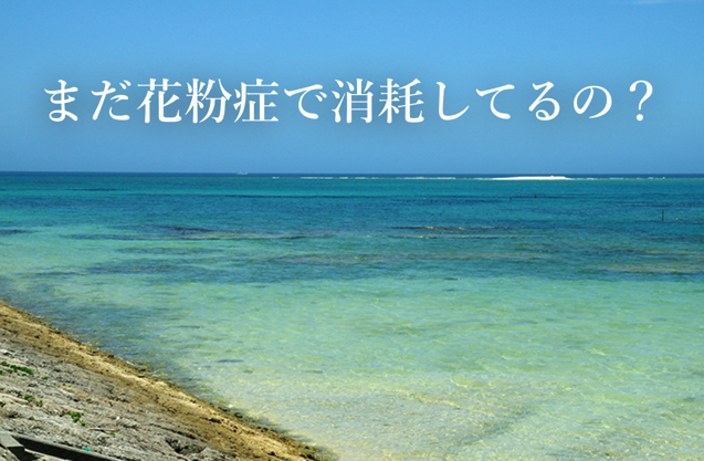 スクリーンショット 2016-10-15 10.17.00.png スクリーンショット 2016 10 15 10 17 00