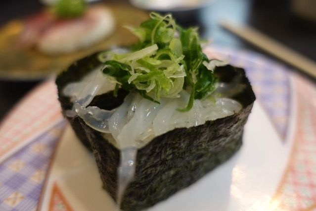 DSC03223.JPG DSC03223