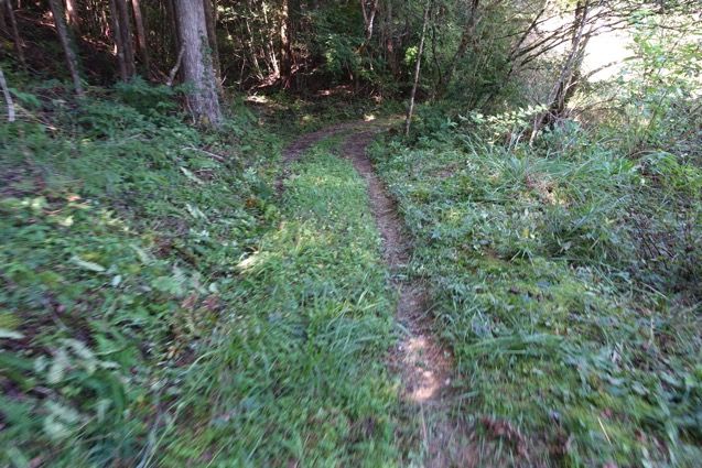 DSC08506.JPG DSC08506