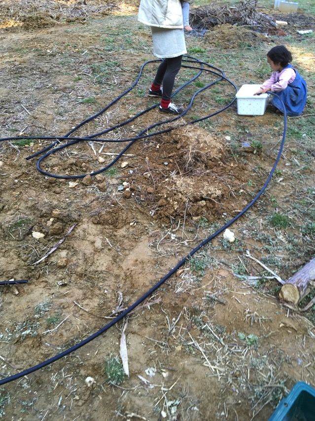 IMG_0298.JPG IMG 0298