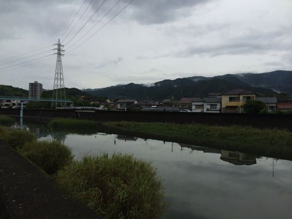 IMG_7414.JPG IMG 7414
