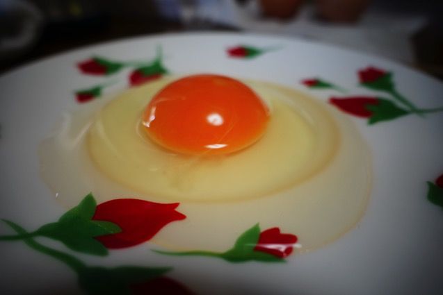 DSC02775.JPG DSC02775