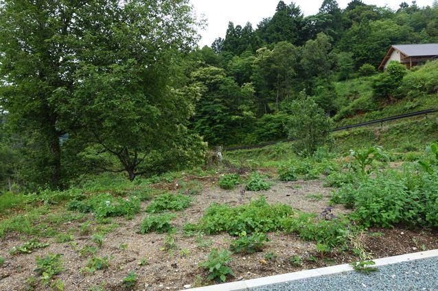 DSC07400.JPG DSC07400