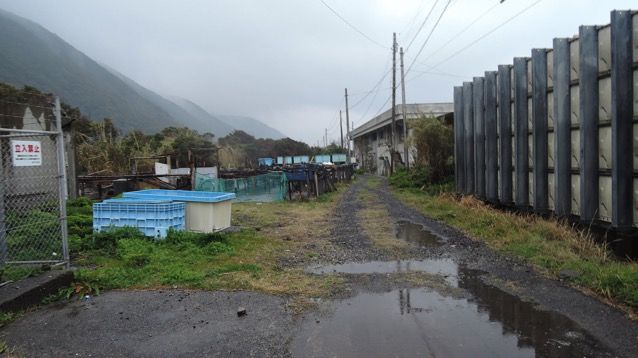 DSCN4429.JPG DSCN4429