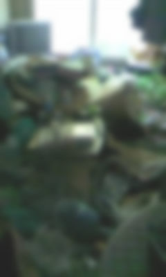 ihin