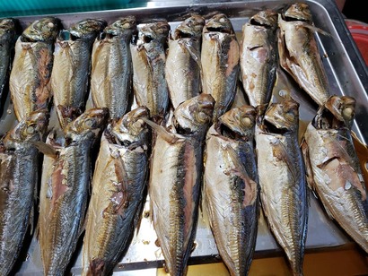 51018207_2486941378045478_1586840147851214848_n