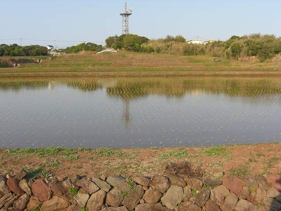CIMG8283