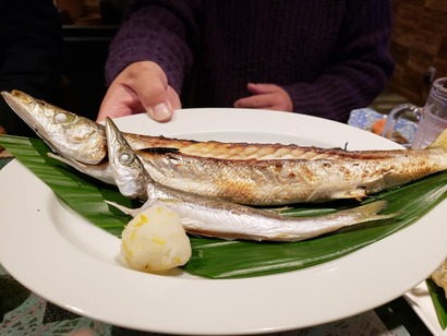 50889867_2487612917978324_3893104544896253952_n