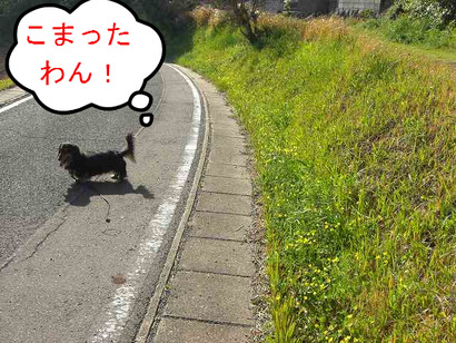 BlogPaint