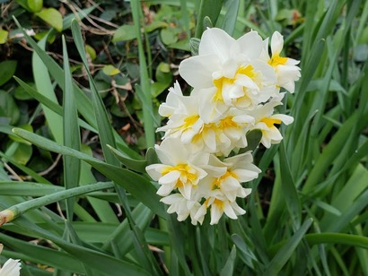 50824417_2482678595138423_7758927564902498304_n