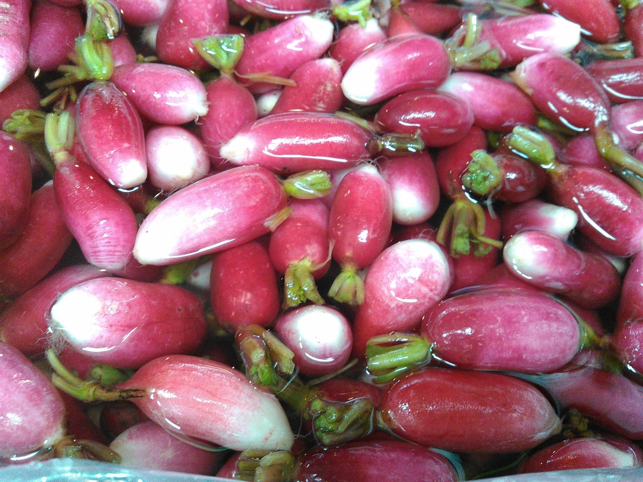 漬物専門店 築地 中川屋 姫大根