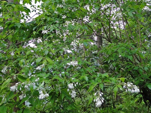 dsc01604_edited
