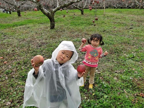 dsc07899_edited