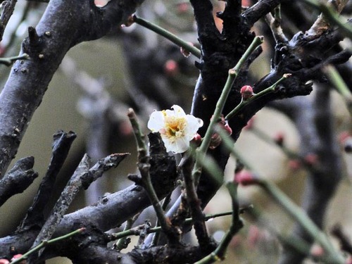 dsc09420_edited