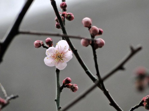 dsc09549_edited