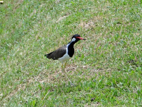dsc06951_edited