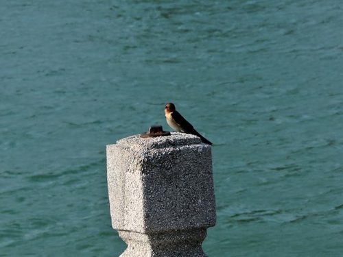 dsc07742_edited
