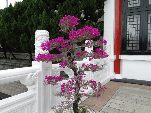dsc08474_edited