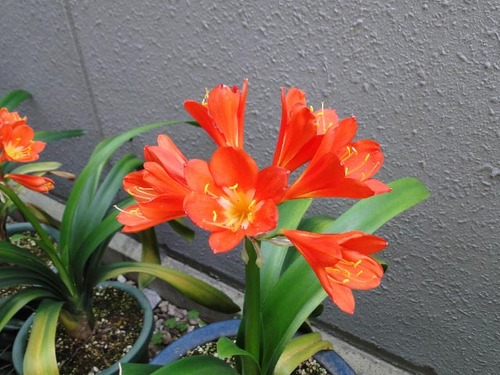 dsc00421_edited