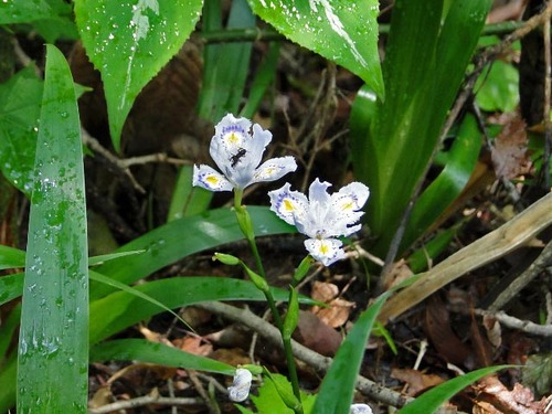dsc01594_edited