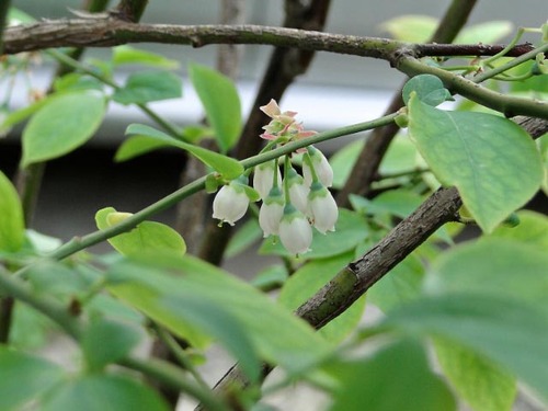 dsc00399_edited