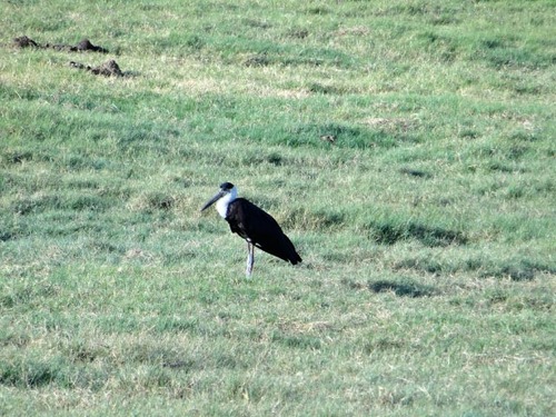 dsc07473_edited
