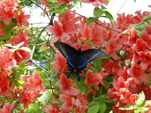 dsc01601_edited