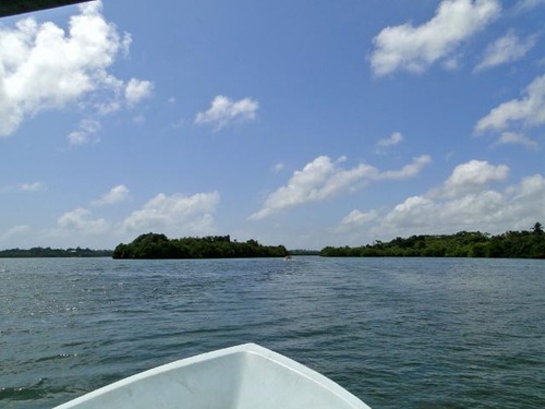 dsc09221_edited