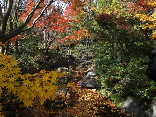 dsc01175_edited