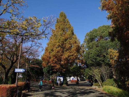 dsc01127