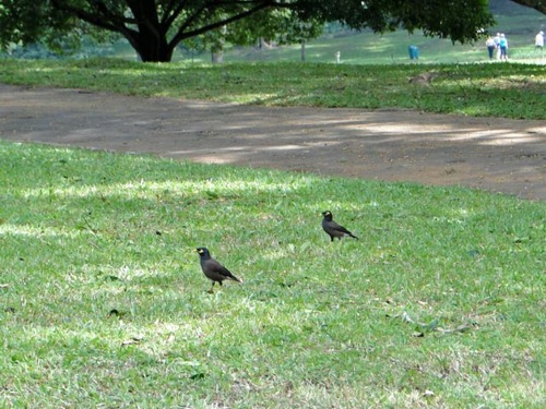 dsc08438_edited