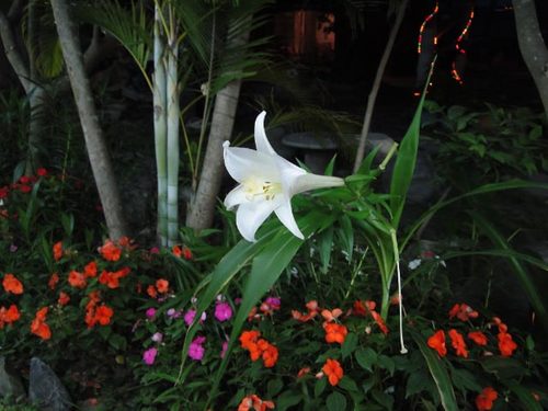 dsc08104_edited