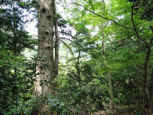 dsc01609_edited