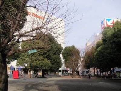 20100120park.JPG