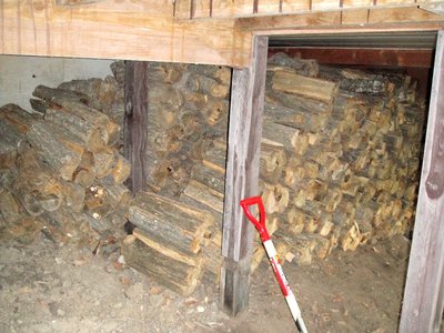 20100825maki.jpg