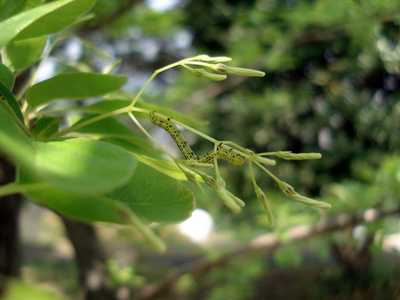 20080430nanjya.jpg