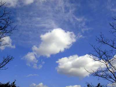 20090218sky.jpg